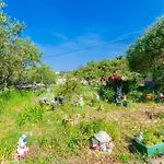 Opsenica Apartment