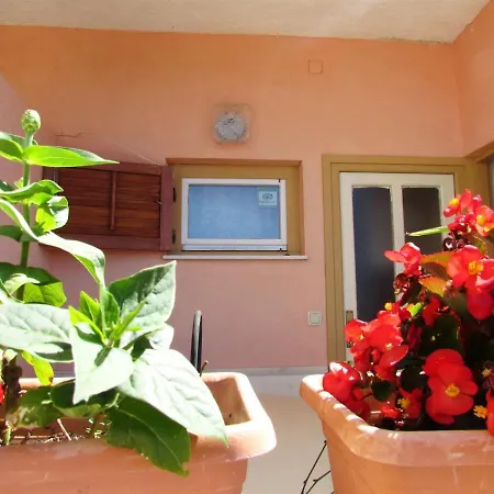 Opsenica Apartman *