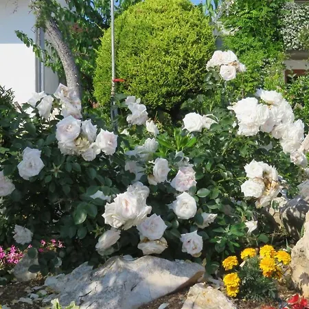 Apartmán Opsenica