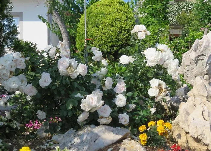 Apartamento Opsenica